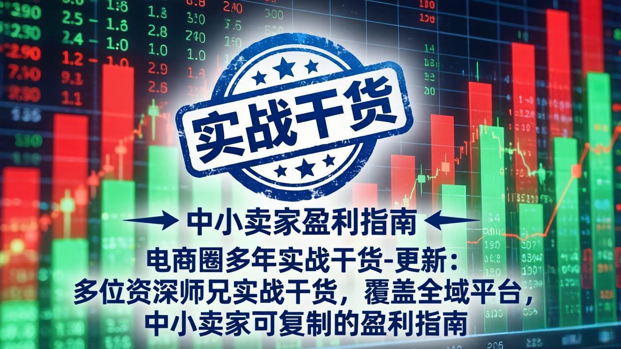 电商圈多年实战干货-更新2026:多位资深师兄实战干货/覆盖全域平台,中小卖家可复制的盈利指南-WE智谷